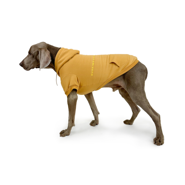 Monte & Co | Huskimo Mt Baw Baw designer dog hoodie jumper with drawstrings | Mustard Rich Yellow