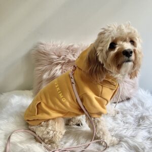Monte & Co | Mt Baw Baw designer dog pet hoodie jumper with drawstrings by Huskimo Australia | Mustard Yellow