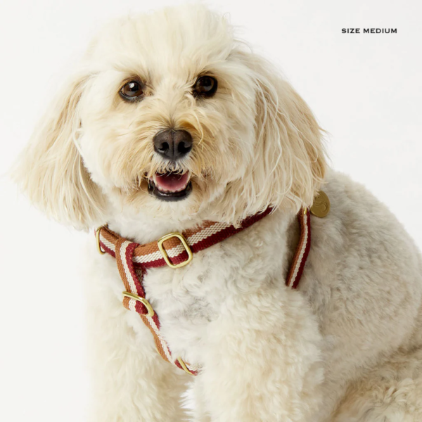 Monte & Co | 3-stripe designer step in dog harness in toffee_white_red by Sebastian Says