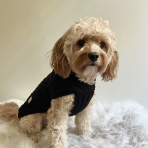 Monte & Co | Luxury black merino wool chunky knit designer dog sweater by Sebastian Says