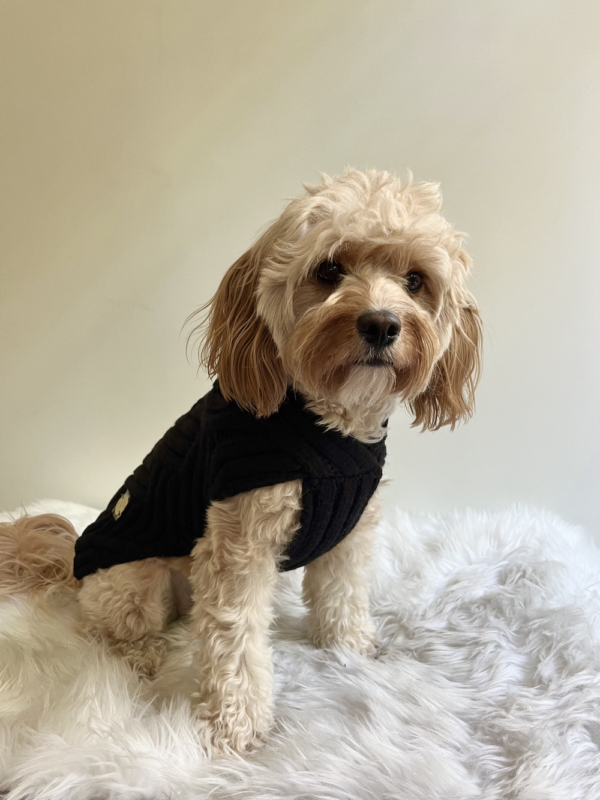 Monte & Co | Luxury black merino wool chunky knit designer dog sweater by Sebastian Says