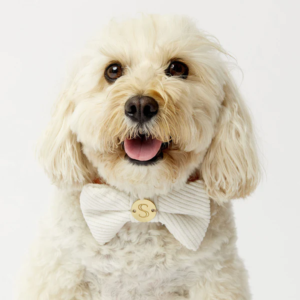 Monte & Co | Luxury dog corduroy bow tie by Sebastian Says - Natural Off White