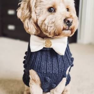 Monte & Co | Luxury dog corduroy bow tie by Sebastian Says - Off White Natural