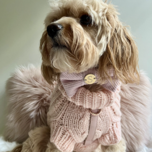 Monte & Co | Pretty in Pink Luxury dog corduroy bow tie in Soft Pale Pink and Luxury Merino Wool French Knit Sweater in Soft Pale Pink by Sebastian Says and Soft Pale Pink Harness by St Argo Melbourne