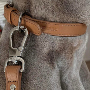 Monte & Co | Designer pet dog cat collar and lead in brown vegan leather by St Argo Melbourne