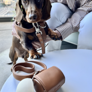 Monte & Co | Designer pet dog cat harness walk accessories set in brown vegan leather by St Argo Melb
