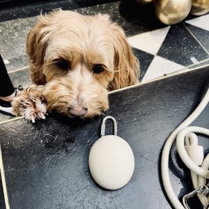 Monte & Co | Designer pet dog treat pouch holder by St Argo Melbourne