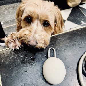 Monte & Co | Designer pet pet dog treat pouch holder by St Argo