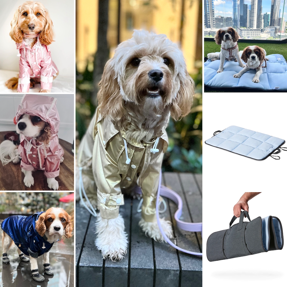 Monte & Co | Curated Spring Summer Dog Essentials Collection | Designer pet dog cat raincoats rain jackets by Sebastian Says and Luxury Travel Picnic Cooling Mat by Snooza Pet Products Australia