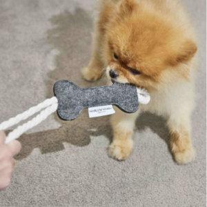 Monte & Co | Designer pet dog cat felt bone tug rope toy by Harlow Harry | Dark Grey with White Rope