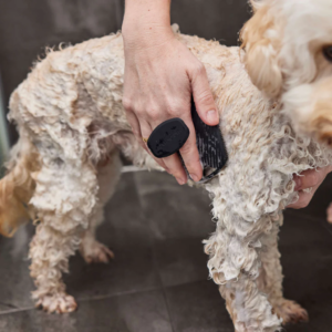 Monte & Co | Premium luxury designer lather bathing dog spa brush mitt by Harlow Harry Sydney