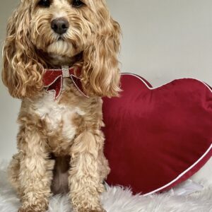 Monte & Co | Luxury Rhinestone Crystal Diamante Designer Pet Dog Cat Christmas Birthday Valentine Day lunar Chinese New Year Sailor Bow | Red