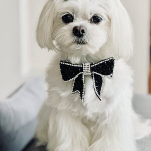 Monte & Co | Luxury Rhinestone Diamante Crystal Sparkly Black Designer Pet Dog Cat Sailor Bow for birthdays, weddings, black tie event and special occasions