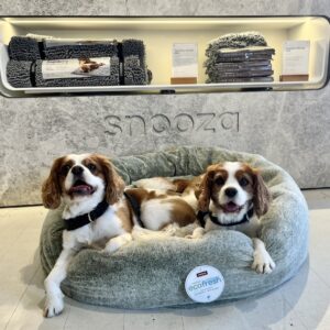 Monte & Co | Luxury Calming Cuddler Pet Dog Bed by Snooza Pet Products Australia | Designer Moss Green | Eco-friendly Machine washable covers