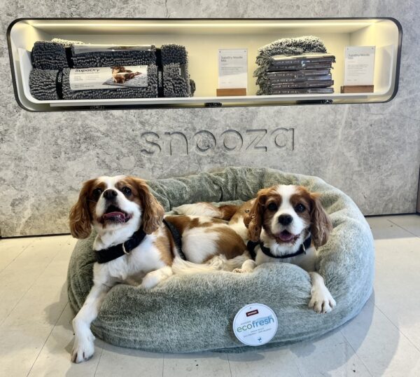 Monte & Co | Luxury Calming Cuddler Pet Dog Bed by Snooza Pet Products Australia | Designer Moss Green | Eco-friendly Machine washable covers