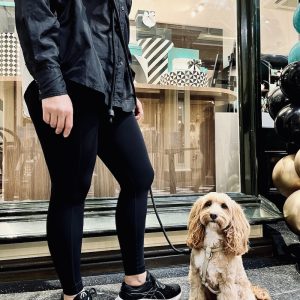 Monte & Co | Luxury designer black hands-free leash lead, designer treat pouch holder and designer taupe harness by St Argo Melbourne